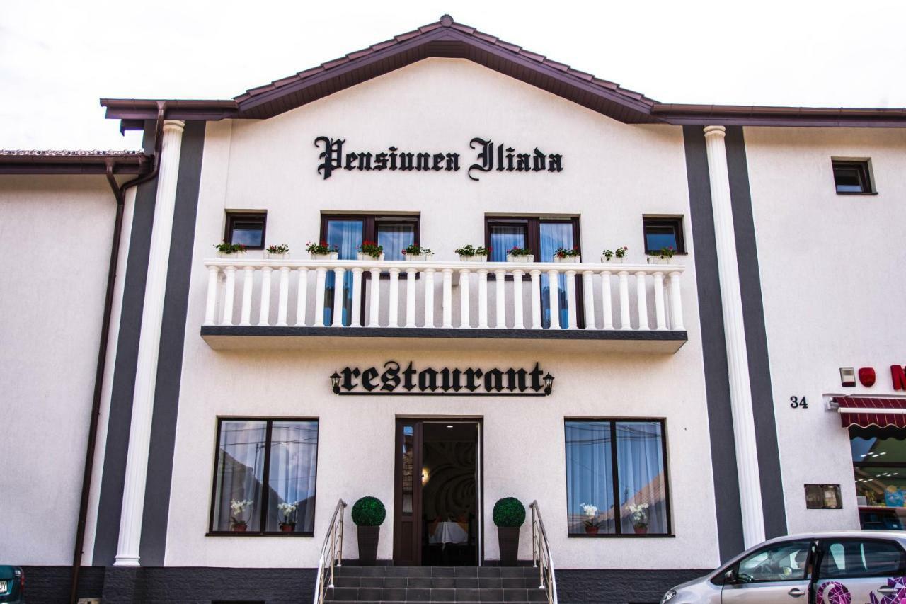 Pensiunea Iliada Sibiu Extérieur photo