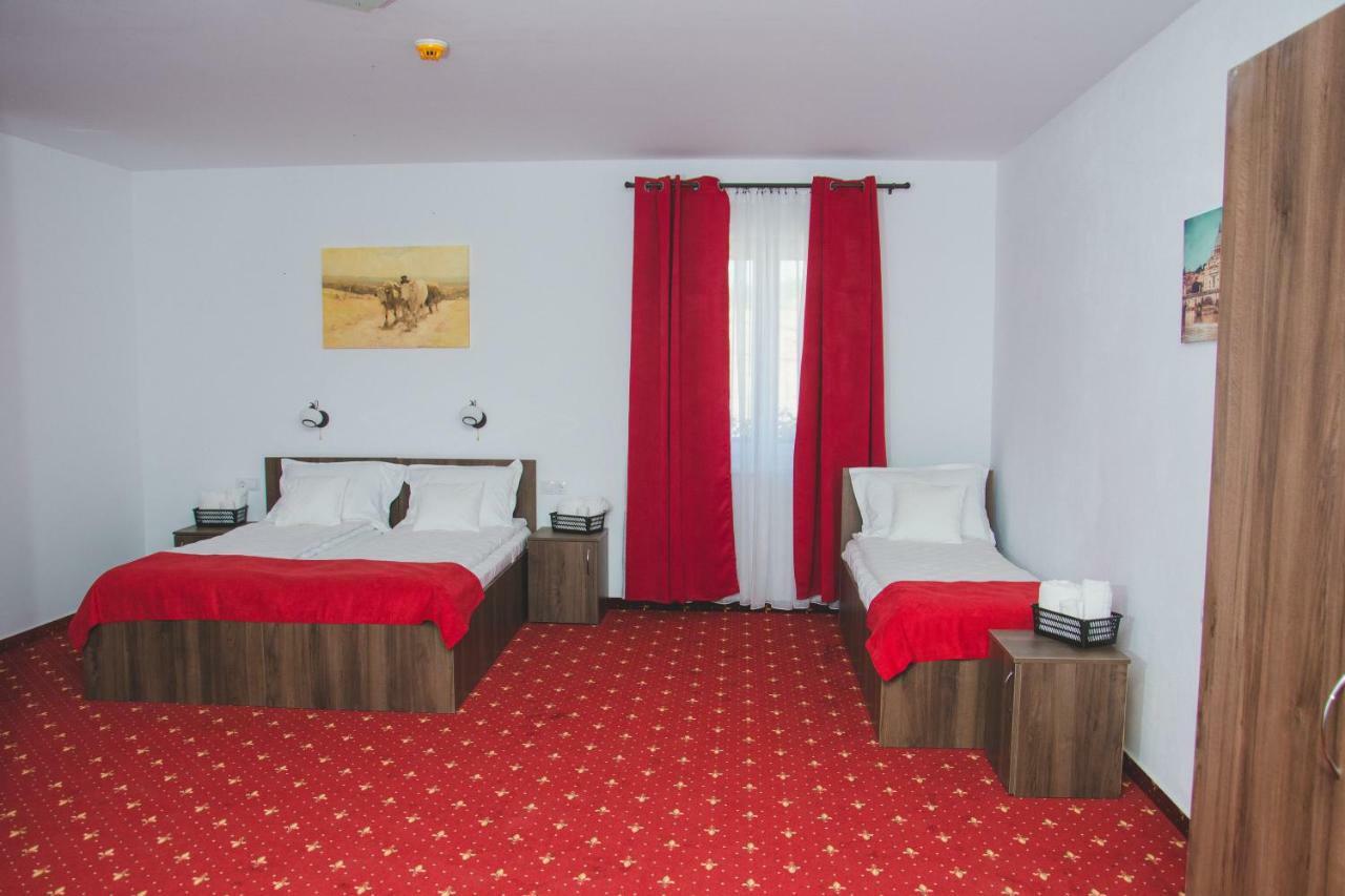 Pensiunea Iliada Sibiu Extérieur photo
