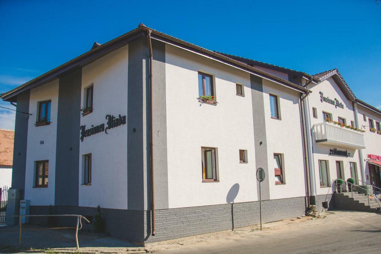 Pensiunea Iliada Sibiu Extérieur photo