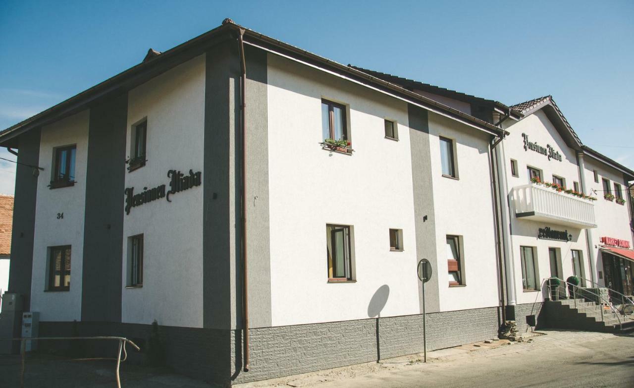 Pensiunea Iliada Sibiu Extérieur photo