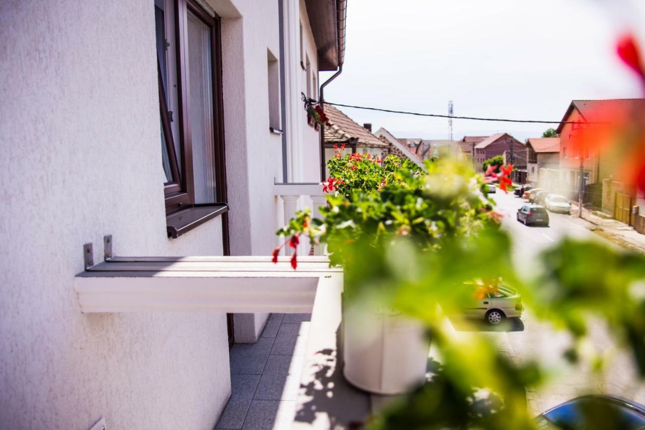 Pensiunea Iliada Sibiu Extérieur photo
